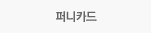 퍼니카드